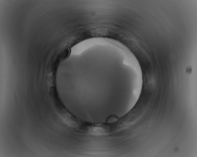 X0000102020224200808081756