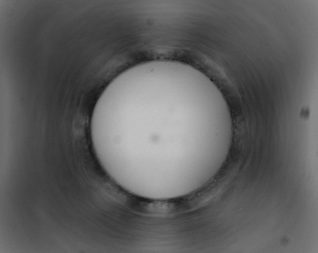 X0000102020225200808081756