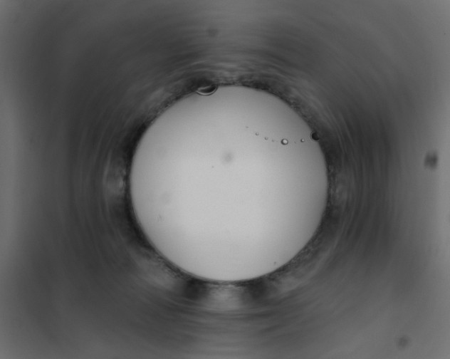 X0000102020226200808081756