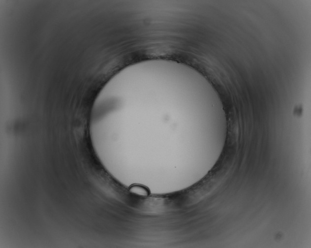 X0000102020227200808081756