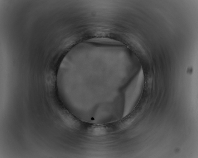 X0000102020228200808081756