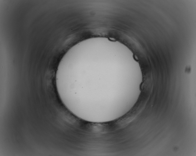 X0000102020229200808081756