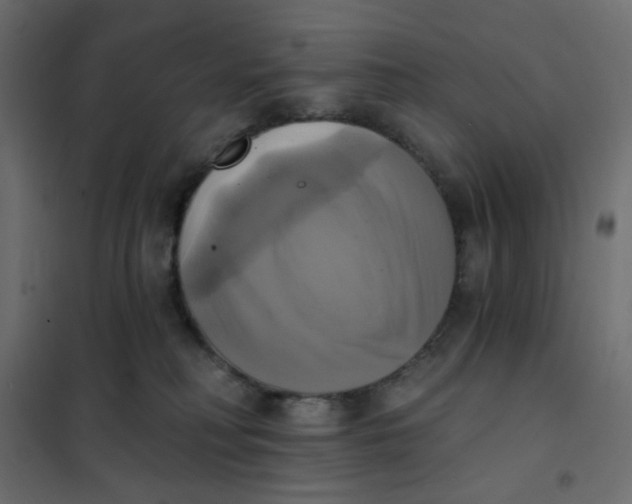 X0000102020230200808081756