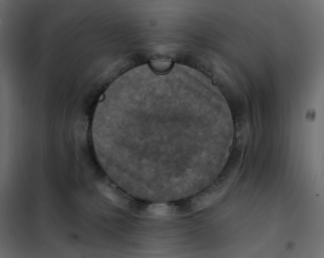 X0000102020231200808081756