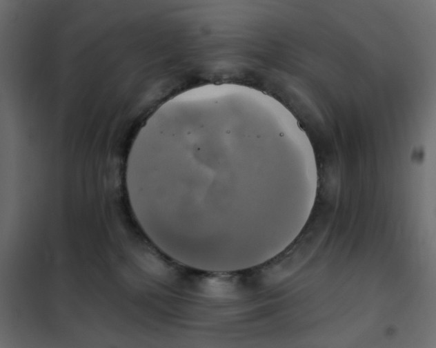 X0000102020232200808081756