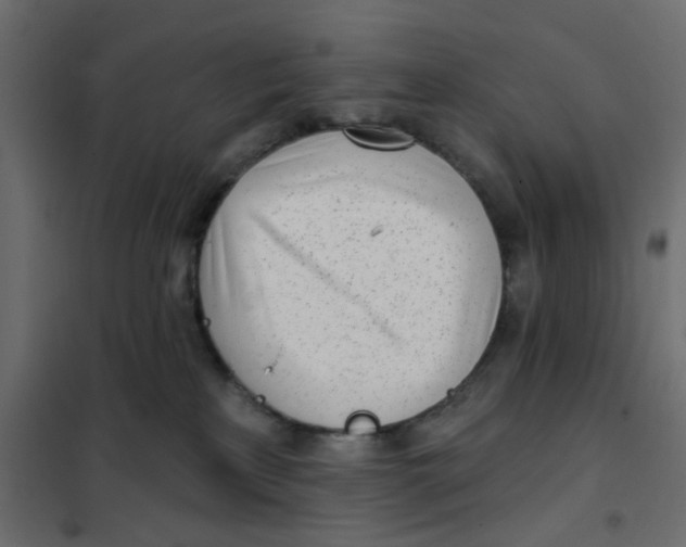 X0000102020233200808081756