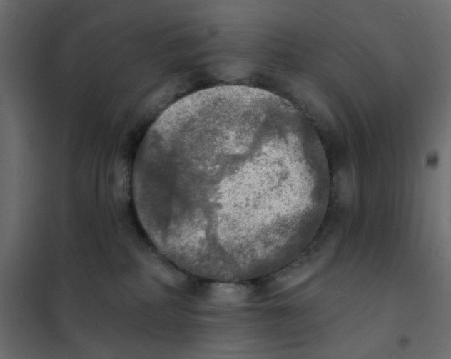 X0000102020234200808081756