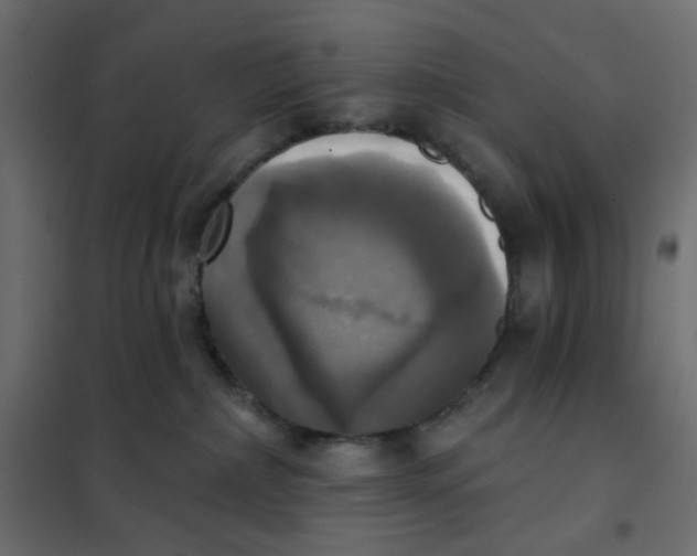 X0000102020236200808081756