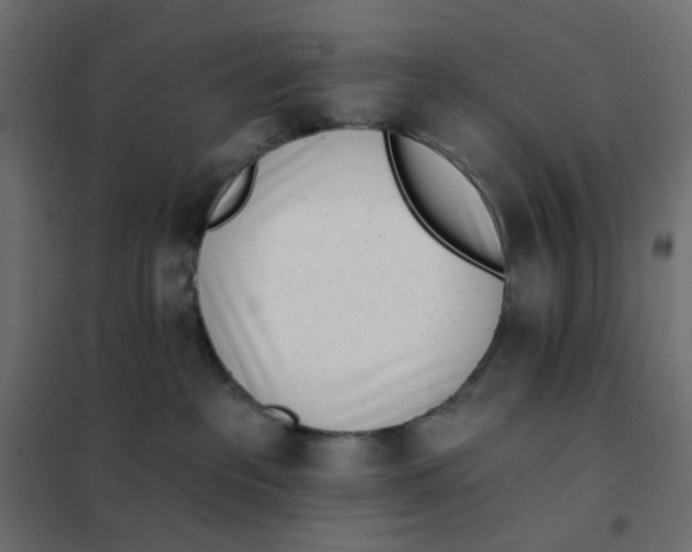 X0000102020237200808081756