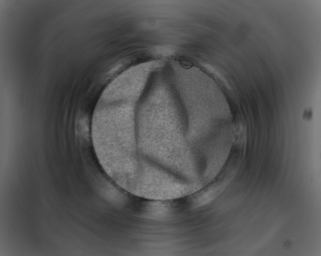 X0000102020238200808081756