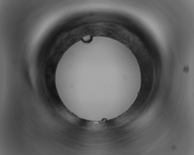 X0000102020239200808081756