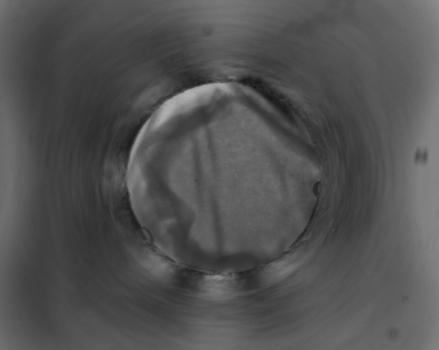 X0000102020240200808081756