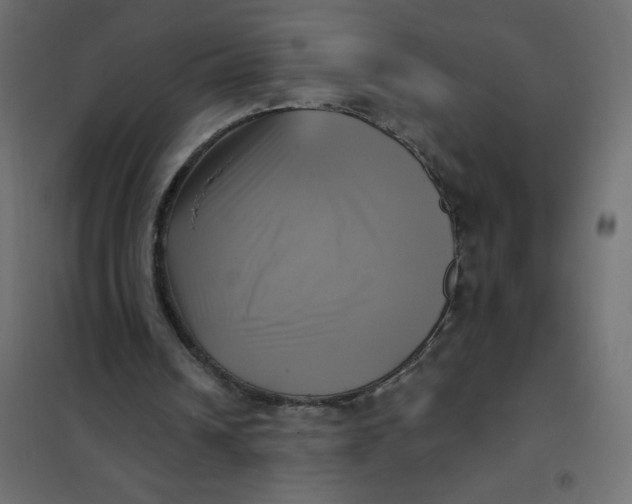 X0000102020242200808081755