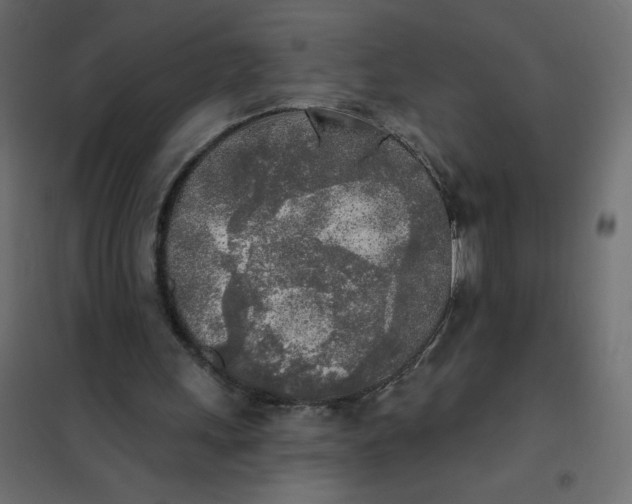 X0000102020243200808081755