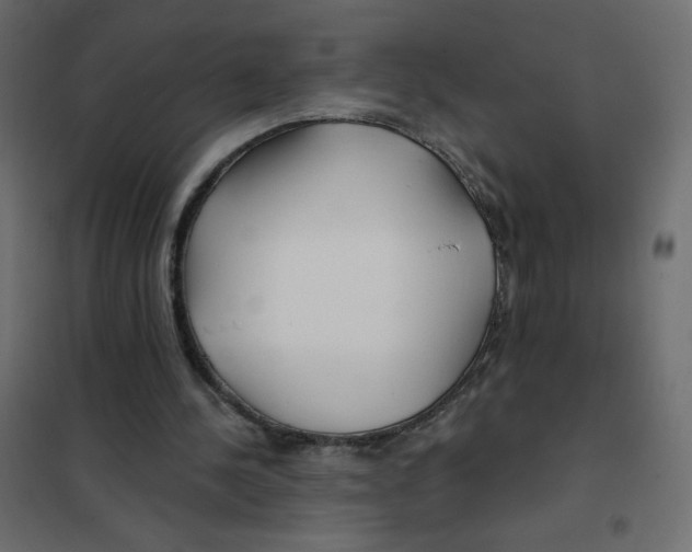 X0000102020244200808081755