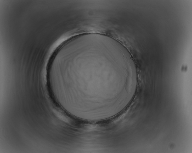 X0000102020246200808081755