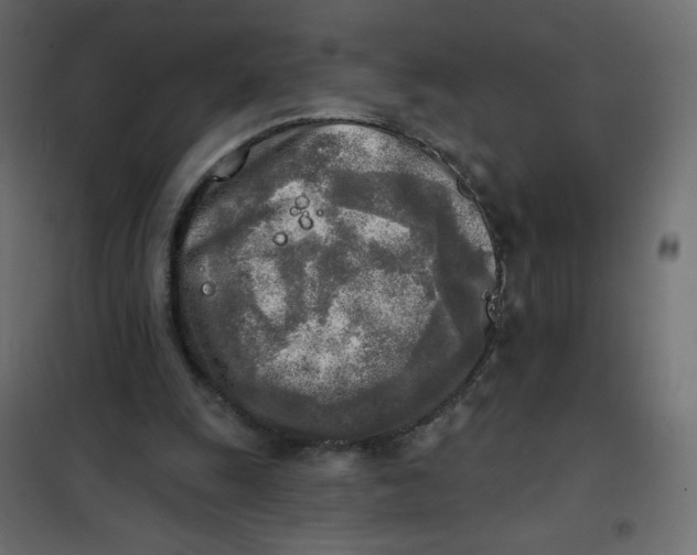X0000102020247200808081755