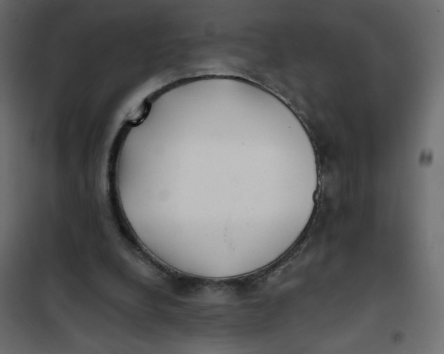 X0000102020248200808081755