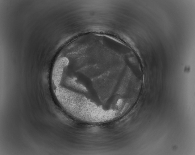 X0000102020249200808081755