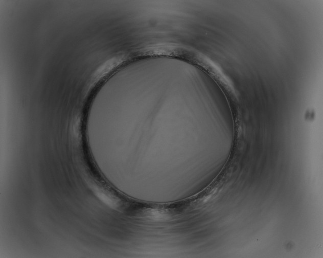 X0000102020250200808081755