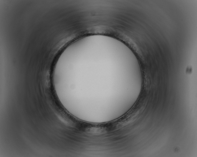 X0000102020251200808081755