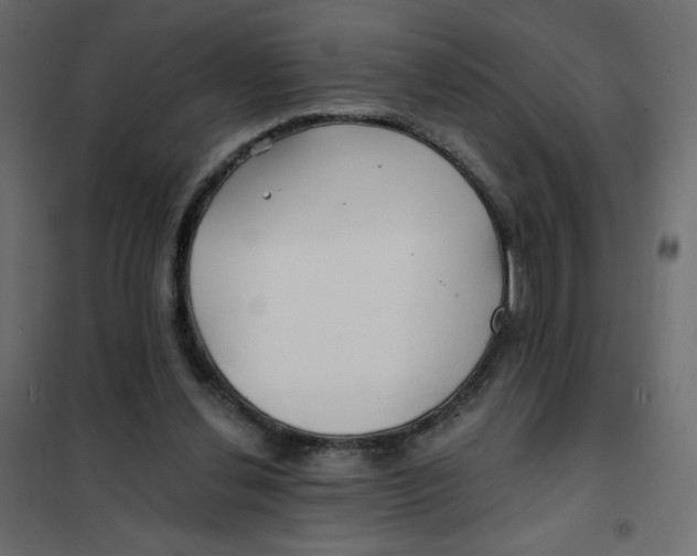 X0000102020252200808081755