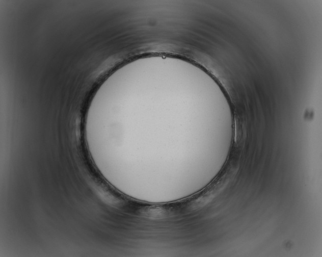 X0000102020253200808081755