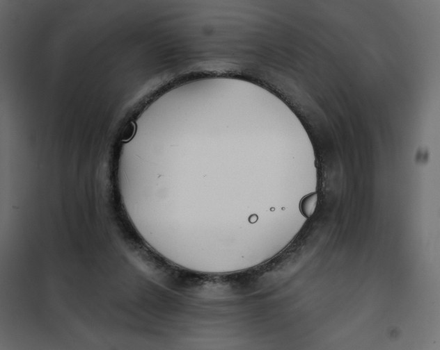 X0000102020256200808081755
