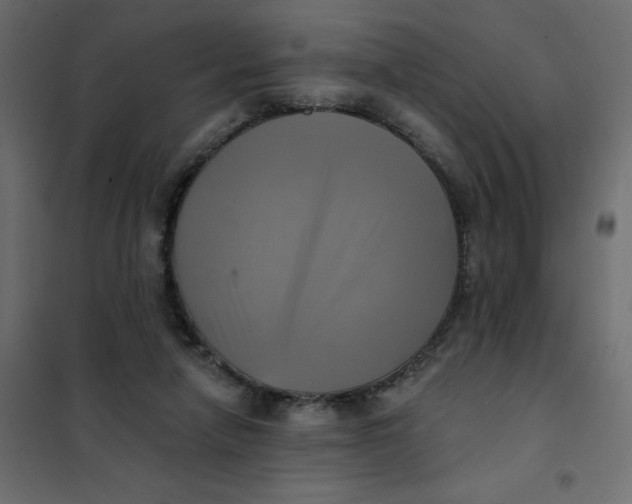 X0000102020258200808081755