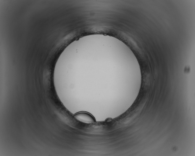 X0000102020260200808081755