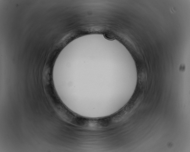 X0000102020264200808081755