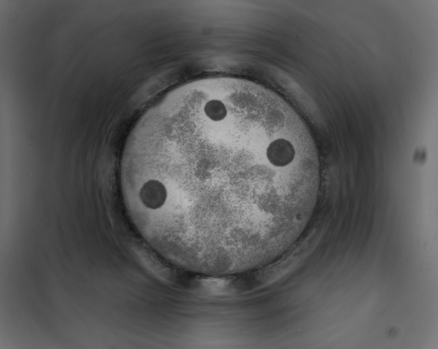 X0000102020265200808081755