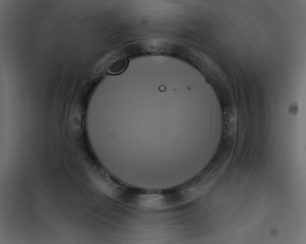 X0000102020266200808081755