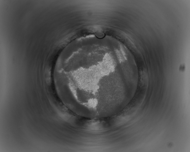 X0000102020267200808081755