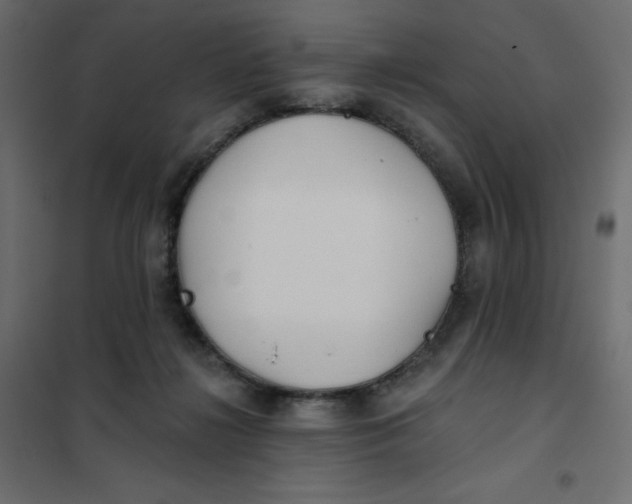 X0000102020268200808081756