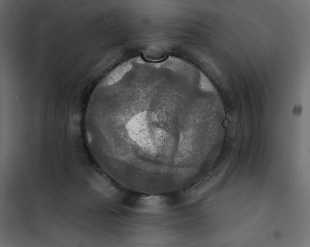 X0000102020269200808081756