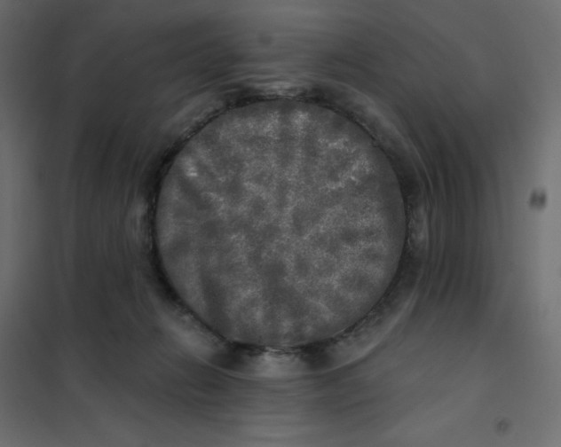 X0000102020270200808081756