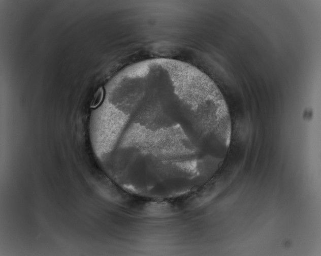 X0000102020271200808081756