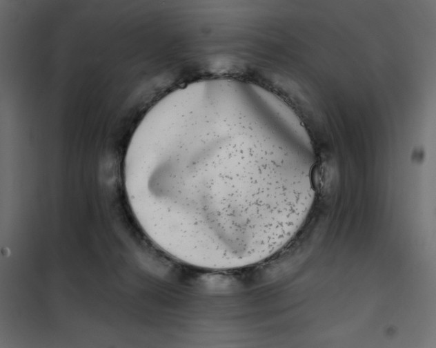 X0000102020272200808081756