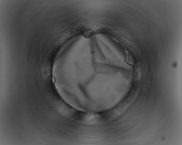 X0000102020274200808081756