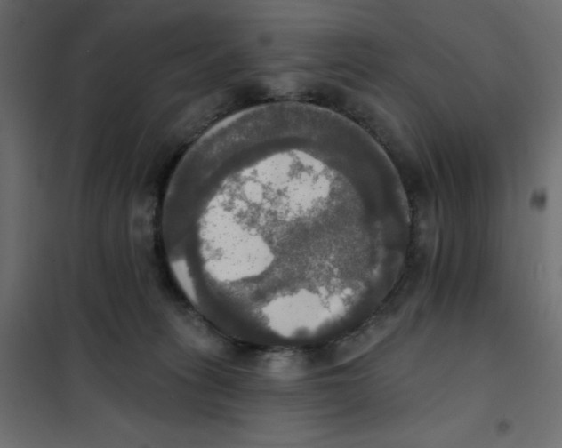 X0000102020275200808081756