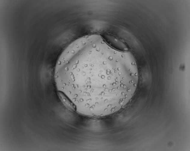 X0000102020276200808081756