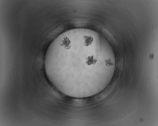 X0000102020277200808081756