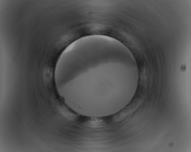 X0000102020278200808081756