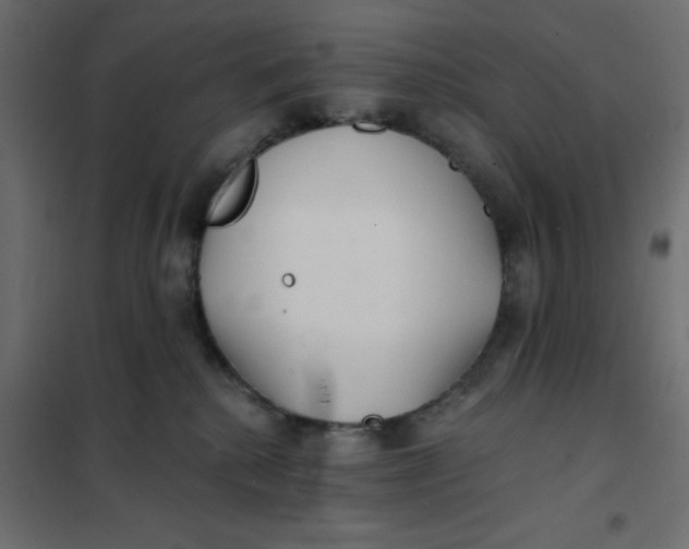 X0000102020280200808081756