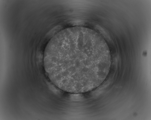 X0000102020281200808081756