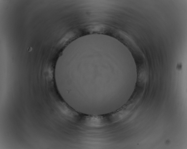 X0000102020282200808081756