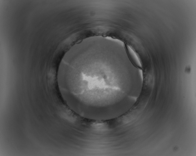 X0000102020283200808081756