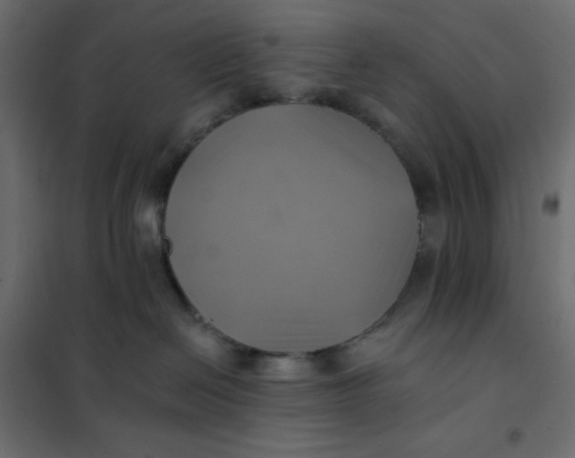 X0000102020286200808081756