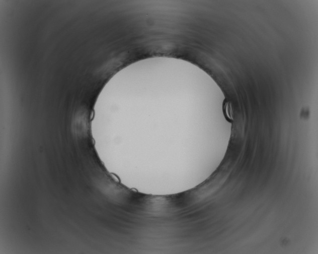 X0000102020287200808081756